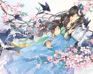 红桃视颏官方